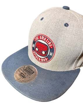 Funko Marvel Collector Corps The Amazing Spider-Man Snapback Hat